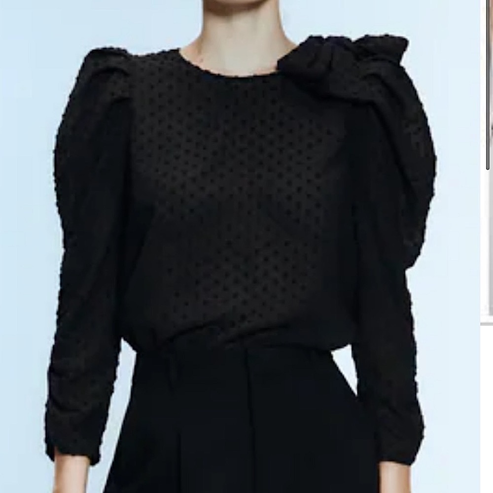 Zara long sleeve blouse